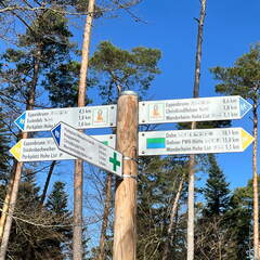 24-02-29 11-26-42 8831